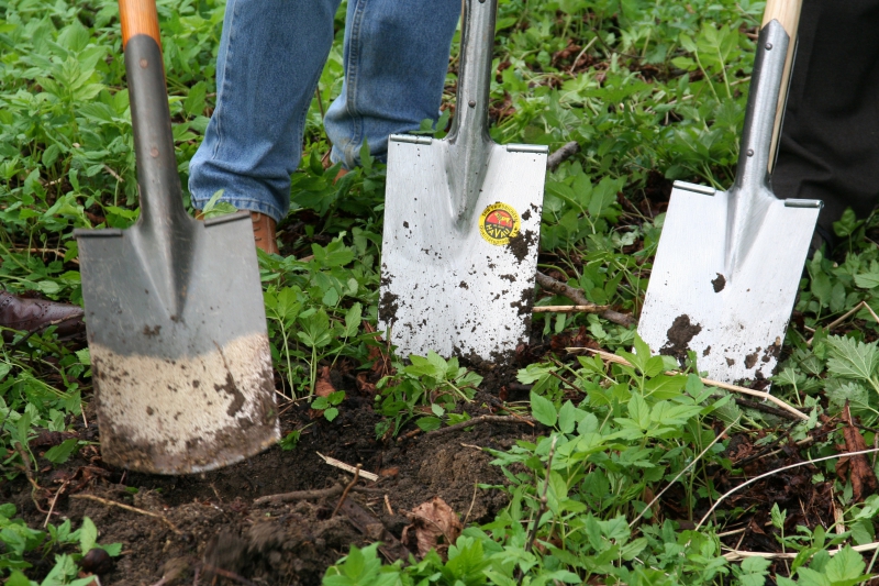 pepiniere-ANTIBES-min_work-lawn-flower-tool-green-backyard-1103633-pxhere.com